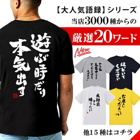 tシャツ ネタtシャツ 送料無料 tee おもしろtシャツ おもしろ雑貨 漢字 文字 メッセージtシャツ ネタtシャツ 文字tシャツ パロディTシャツ ふざけtシャツグッズ メンズ レディース 名言 格言 語録 パロディ プレゼント ギフト 名言 半袖 S M L XL ティーシャツ