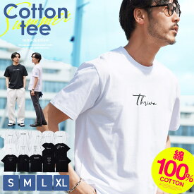 Tシャツ メンズ 綿100％ /マルチロゴパターンTシャツ/ コットン 大人 おしゃれ ロゴ ティーシャツ バックプリント ワンポイント メンズtシャツ 白tシャツ 半袖 春 夏 夏服 春服 クルーネック
