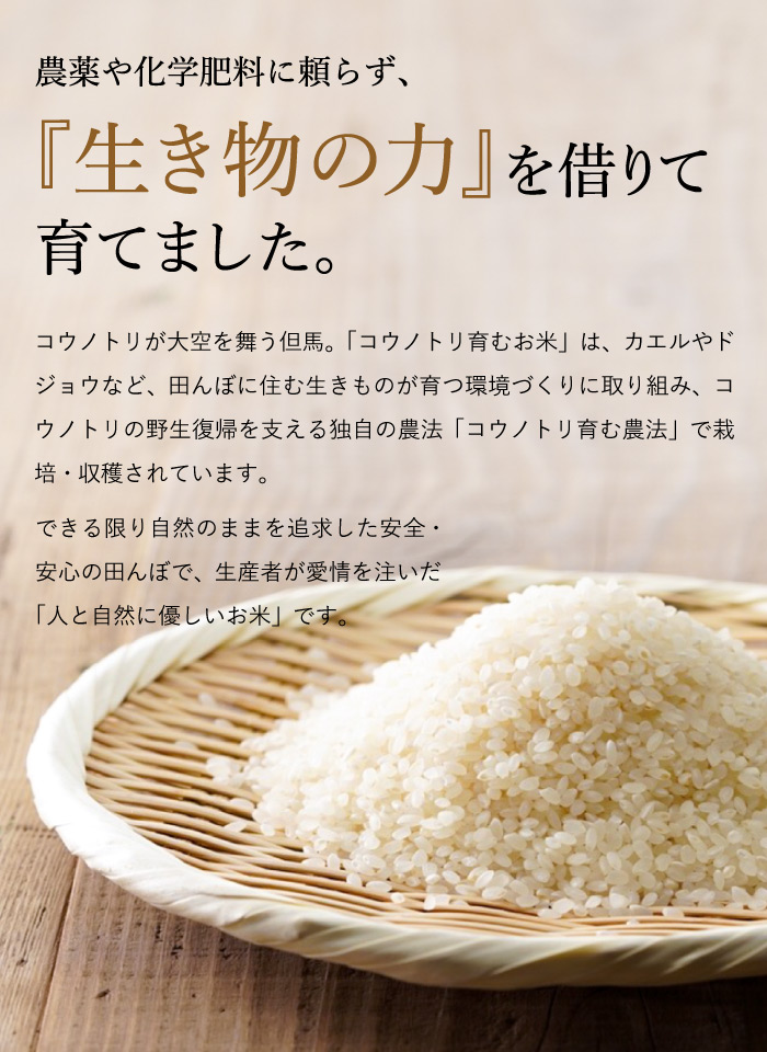無農薬米・有機肥料玄米20kg】食味値85 もちもち柔らか 2021年兵庫県産