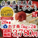 兵庫県但馬産【 送料無料 】【 白米 10kg 5kg×2袋 】【 あす楽 】天空の城 竹田城 コウノトリで有名な 西日本 兵庫県 但馬産 28年産 コシヒカリ... ランキングお取り寄せ