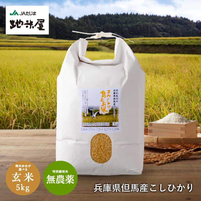 ☆[玄米]特別栽培米コシヒカリ５kg生産農家の直接販売 - 米