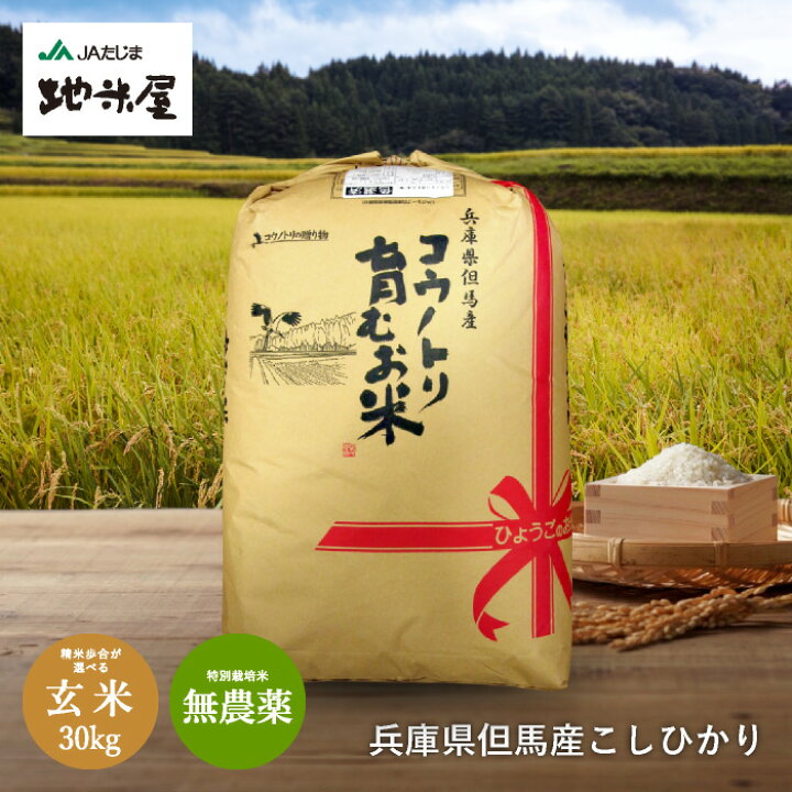 楽天市場】令和6年産新米 予約 10月上旬発送 無農薬 玄米30kg 無化学  