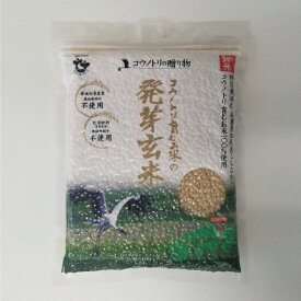特別栽培米 無農薬 発芽玄米 食べる健康！食べる貢献！生命を育むお米 コウノトリ育むお米 無農薬 玄米 発芽玄米 500g コシヒカリ西日本 兵庫県 但馬産 コウノトリ育むお米 発芽玄米 ヘルシー 健康 食品 賞味期限 2026.06.19