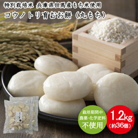 無農薬 丸もち 個包装 コウノトリ育むお米（無農薬） 使用 杵搗き 小もち 1.2kg 36個入り コウノトリ育むお米 小餅 JAたじま 特別栽培米 但馬産 もち米 丸餅 もち まる餅 備蓄 保存料不使用 備蓄 保存料不使用 ながモチフィルム 常温保存 賞味期限2027年10月