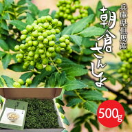 予約 5月下旬より発送 生 実山椒 500g 大粒 JAたじま 朝倉さんしょ 山椒 生山椒 山椒の実 兵庫県但馬産 …