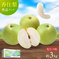 【予約】 香住梨 二十世紀梨 秀品 3kg （2L～5L：6～10玉） 兵庫県随一 産地 香住梨 二十世紀梨 約3kg 送…
