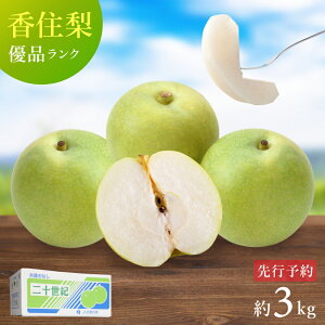 y\z Z \I Di ƒp 3kg 2L`4Li6`10ʁj Ɍ Yn  Â VLVL 20I 8{蔭\  \I 5L  ƒp 󂠂 ƒp 