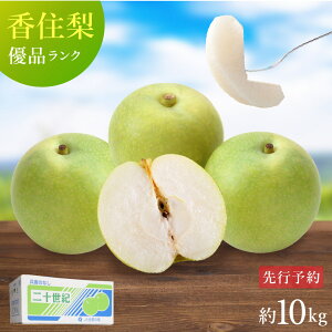 y\z Z \I D 10kg ƒp L`4Li24`36ʁj10L Ɍ Yn @Â VLVL 20I p 8{菇\  10kg \I ƒp 