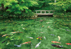ジグソーパズル YAM-35-27 踊る色彩モネの池 (岐阜) 500ピース やのまん パズル Puzzle ギフト 誕生日 プレゼント