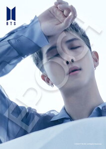 �W�O�\�[�p�Y�� 108�s�[�X Proof RM(BTS�i�h�e���N�c�j) EPO-41-308 �G�|�b�N�� �p�Y�� Puzzle �M�t�g �a���� �v���[���g �����O�b�Y