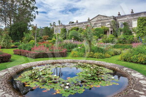 WO\[pY 1000s[X }EgX`[g̃tH[}K[f EPO-09-027s G|bN pY Puzzle Mtg a v[g