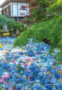 WO\[pY 300s[X 錧suJωv CUT-300-333 L[eB[Y pY Puzzle Mtg a v[g