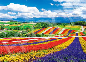 ジグソーパズル EPO-54-240 虹色の四季彩の丘-北海道 2000ピース エポック社 パズル Puzzle ギフト 誕生日 プレゼント