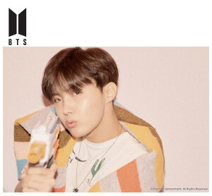 �W�O�\�[�p�Y�� 108�s�[�X MAP OF THE SOUL : PERSONA- J-HOPE(BTS�i�h�e���N�c�j) EPO-41-004 �G�|�b�N�� �p�Y�� Puzzle �M�t�g �a���� �v���[���g �����O�b�Y