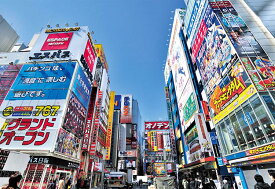 楽天市場 秋葉原の通販