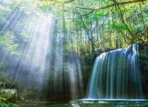 WO\[pY 500s[X P EPO-79-345s G|bN pY Puzzle Mtg a v[g