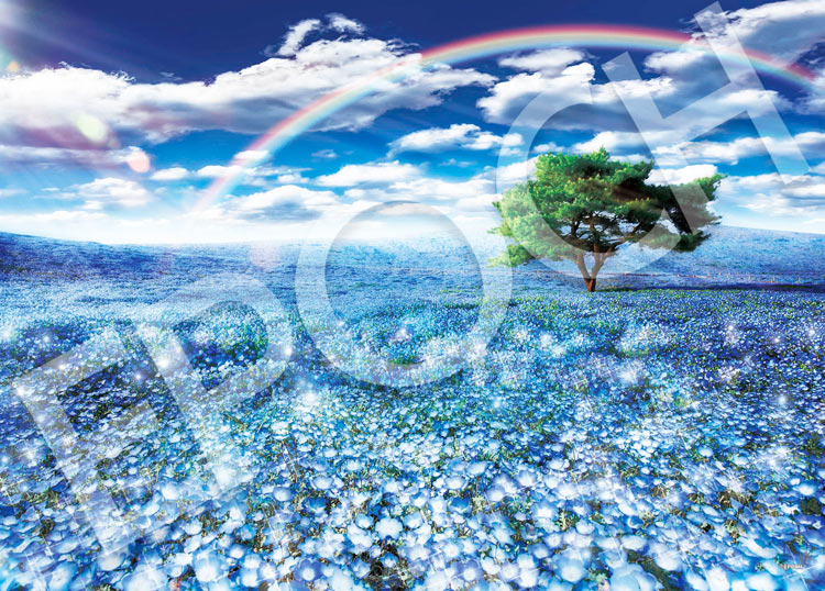 EPO-05-201s 風景 ネモフィラと幸運の虹 予約販売品 500ピース アウトレット ジグソーパズル エポック社 プレゼント パズル あす楽 Puzzle ギフト 誕生日