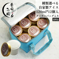 茶屋アイス 種類が選べる たっぷり120ml*12個セット クーラーバッグ入り 自家製アイスクリーム 送料無料 …
