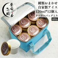 茶屋アイス おまかせギフト たっぷり120ml*12個 クーラーバッグ入り 自家製アイスクリーム 送料・クール…
