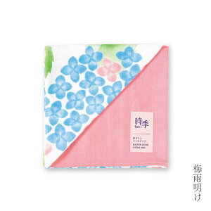 yT300~OFFN[|z͂񂩂 nJ` K[[nJ` 100% { Y v[g Mtg v`Mtg ސE  ʉ a炵͂񂩂 G ڂ  ~J b݂̉J