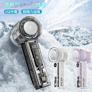gѐ@ Type-C}[d y fUC N[[@\ ^тɕ֗gуt@ 莝 &  ΍ 3000mAh e ԉғ ItBX AEghA X|[c ԉΑ
