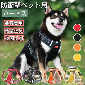  n[lX n[lXxg ybg [ht p n[lX ^ ^ ̃[h ybgpi hbOpi hՌ Ȃ nht JWA ȒPE ߉\ U op