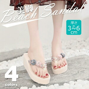 T_ r[`T_ gOT_ [q[ nCq[ ؂ tbg  r ɂȂ Ȃ ~ Sn ₷ ԕ  t[ ԏ  r[T 