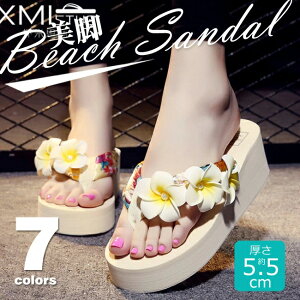 T_ r[`T_ gOT_ nCq[  r ~ Ȃ y Sn EFbW\[ ԕt t[ ԏ  nh[h 킢 {w~A r[T