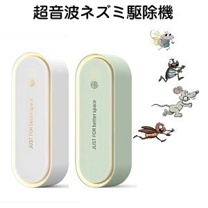 y-2{ZbgzlY~쏜 g 2025ŐVAbvO[h Q쏜   悯 360°LEDvt 120L͈ gXs[J[ L ItBX//rO/