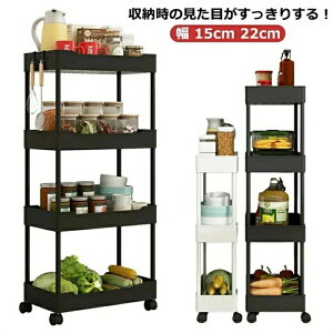 [ X 22cm 15cm ԃbN S Lb`Ԏ[   Ԏ[S X[   [S LX^[t  [bN RpNg  ʏ Lb`