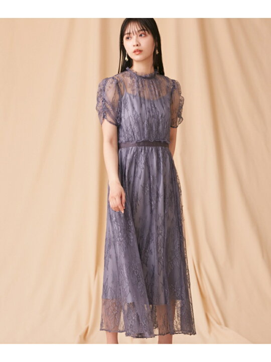 楽天市場】バイカラーレースドレス JILL by JILL STUART ジル バイ 