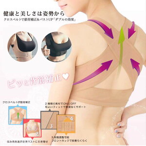  ͂ w  xg oXgAbv Lwxg 2Zbg Lw p fB[Xp p Ci[ pxg ␳