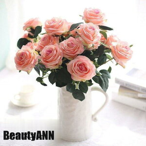 V \[vt[ 2{Zbg EGfBOu[P   ԉ u[P  ԑ [Y uC_u[P EFfBO AWg A[gt[ CeAt  