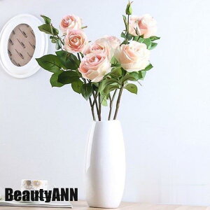 V \[vt[ 3{  CeA [Yo`  G i`   ԑ u[P tFCNO[   ԑ ~ ގ ޏ  j v[