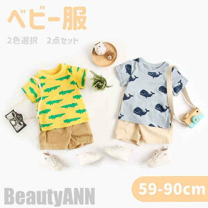 V xr[ qǂ  ̎q j̎q ZbgAbv TVc pc  ㉺Zbg LbY 2FI q LbY Ԃ c xr[ Rbg xr[EGA  