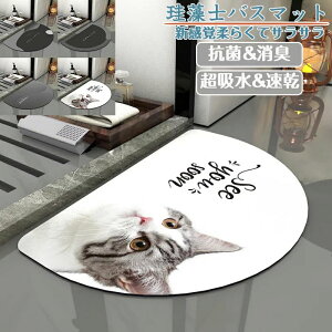 珪藻土バスマット40x60cm~70x50cm 大判 サイズ 珪藻土マット 風呂 バスマット 足ふきマット 速乾 珪藻土 キッチンマット 滑り止め 浴室 洗面所 吸水 速乾 抗菌 滑り止め 北欧 脱衣所 吸水マット