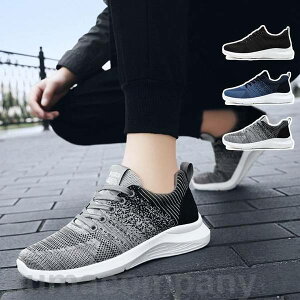 yyVX[p[SALEizXj[J[ Y jOV[Y fB[X y ʋC X|[cV[Y EH[LO  V[Y jpd