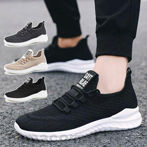 yyVX[p[SALEizXj[J[ Y jOV[Y y ʋC X|[cV[Y EH[LO  V[Y jp 3