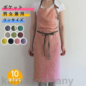 THOM WILLS Gv l  s[X fB[X Y lGv JtF Lb` k ۈm   n jp ؍ אg