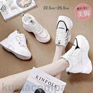 vC  fB[X [XAbvV[Y ؍ Cq[ Xj[J[ {A Xj[J[ JWA V[Y p C