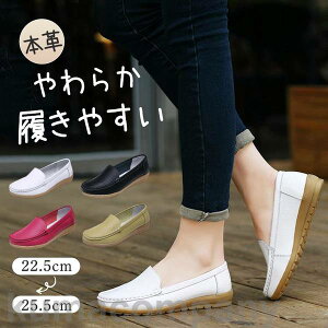 [t@[ {vpvX fB[X ₷ }}C Xb| EFbWq[ tbg ؂ ʋ ʊw ɂȂ 炩