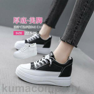 yyVX[p[SALEizV Xj[J[ fB[X V[Y n[Jbg nCJbgXj[J[ Cq[ ubN C y ₷ ɂ r g