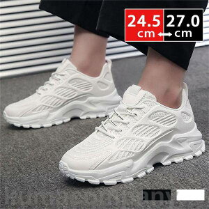 yyVX[p[SALEizXj[J[ V[Y Y C amC JWAV[Y X|[c  傫TCY  EH[LO bV ₷ y ^C