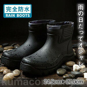 Cu[c CV[Y Y fB[X h h C ~J J΍  RȂ Vv AEghA ނ V[g ʋ ʊw