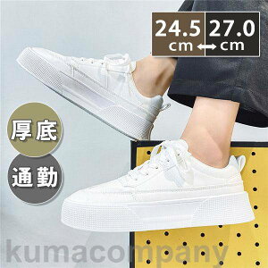 yyVX[p[SALEiztV Xj[J[ Y JWAV[Y C  tbg w n ʊw ʋ 20  t H AE^[ ₷ WMO