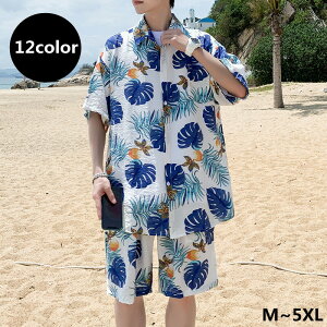 ZbgAbv AnVc Y ㉺Zbg  {^jJ ԕ W[W ㉺ [EFA 40 50 ̓ o^C 2023