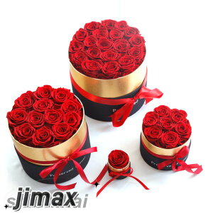 zCgf[ \[vt[ ԑ \[vt[@͂Ȃԁ@Όԁ@J[l[V@o@{bNX  t[@ԑ@ f[  LOzCgf[ v[g Mt