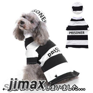 ybg  2_Zbg l Ɛl RXv nEB[ L  Halloween Xqt  pȒP p Lp  ˂ ybg  RX`[ Cxg p[eB[  ybgG S