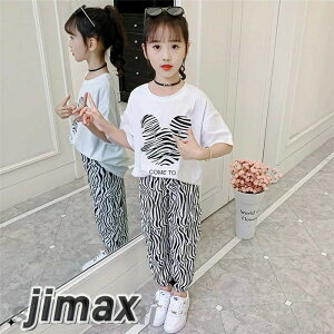 q ZbgAbv LbY ̎q  2_Zbg ㉺Zbg TVc  n[tpc  JWA   W[W Vi zCgf[