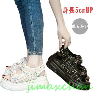 Vi@T_Xj[J[   fB[X X|[cT_ 5Z` gUP ɂȂ ɂ Ȃ RtH[gT_    jbg V[Y